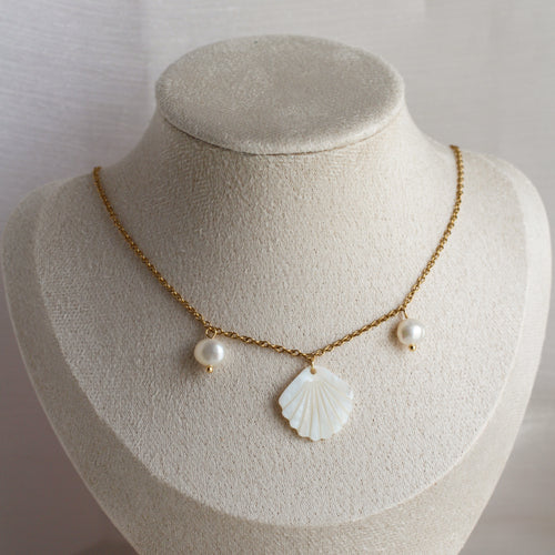 Seashell (Shell Necklace - Gold)